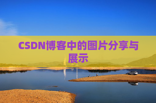 CSDN博客中的图片分享与展示